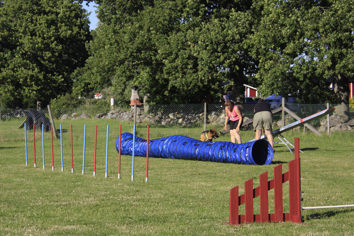 Hundvanlig-camping-1